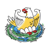 Ein Adler sitzt auf einem Nest und brütet Eier aus