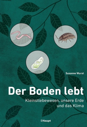 Einige Laubblätter, ein Regenwurm, eine Assel und eine Mikrobe