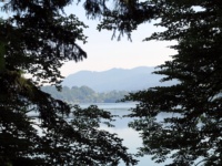 Ein See, durch Bäume hindurch aufgenommen