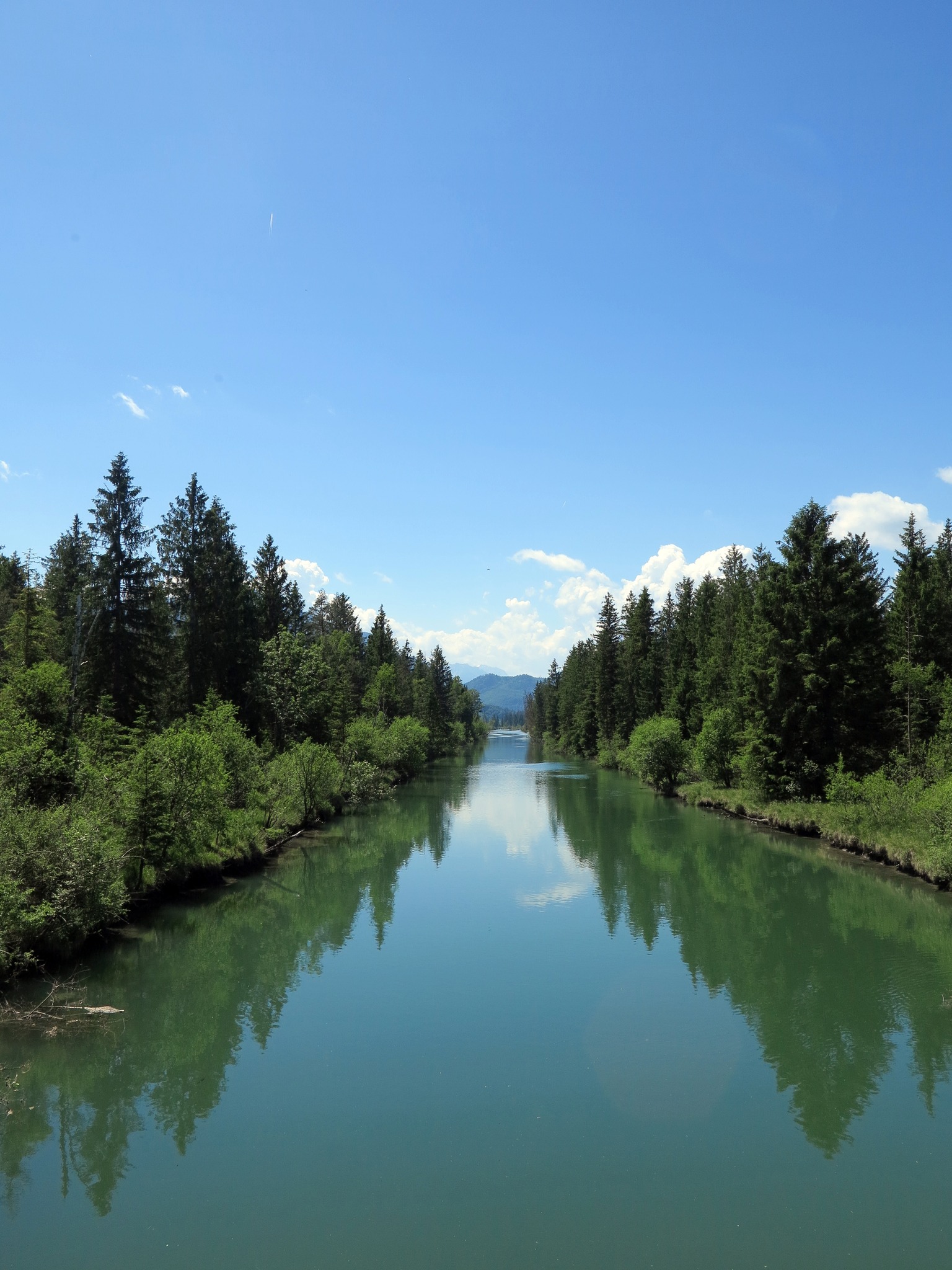 Ein Fluss, gesäumt von Bäumen. Am Horizont ist ein Berg.