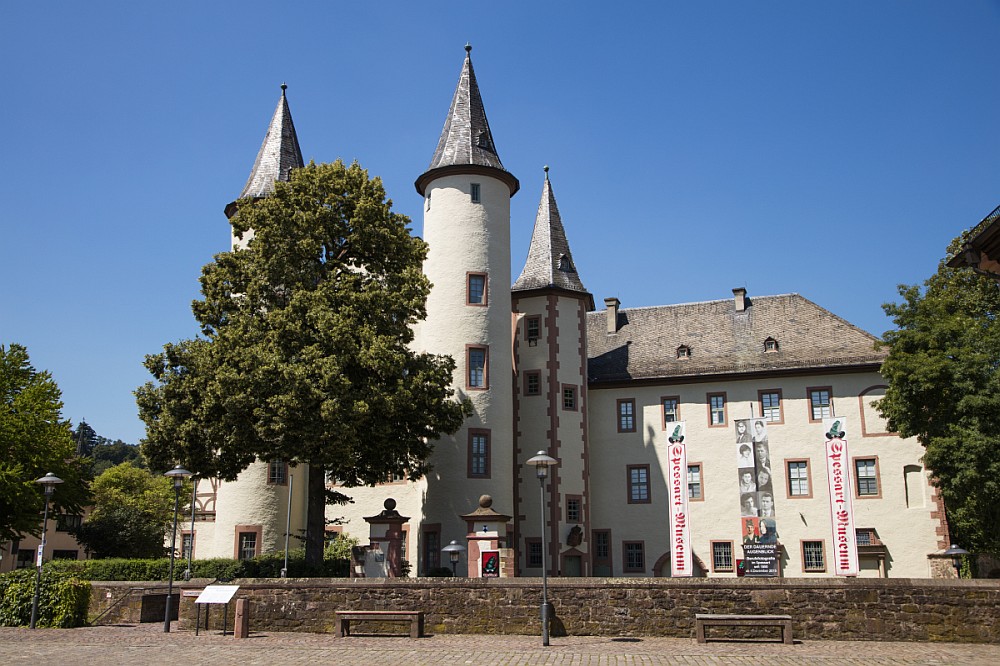 Ein großes Schloss mit mehreren Türmen mit Bäumen und blauem Himmel.