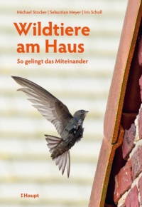 Ein kleiner Singvogel, der auf die Kante eines Daches zufliegt und zur Landung ansetzt