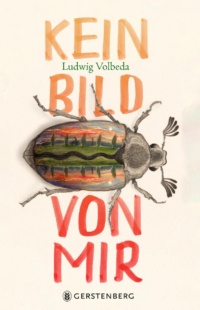 Zeichnung eines Maikäfers